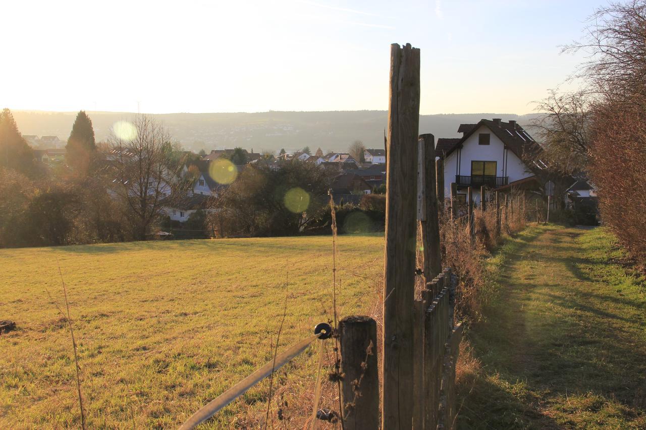 Ferienwohnung Klimek Michelstadt Dış mekan fotoğraf